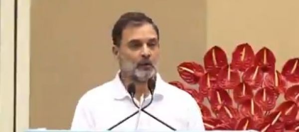  आवारा कुत्तों पर सुप्रीम कोर्ट के फैसले को राहुल गांधी ने बताया क्रूर और अदूरदर्शी