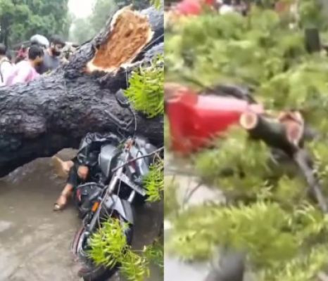 दिल्ली में बारिश के दौरान सड़क पर पेड़ गिरने से पिता की मौत व बेटी गंभीर रूप से घायल
