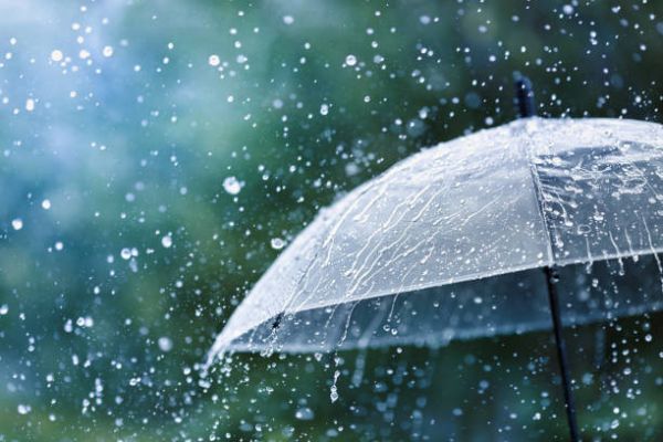आईएमडी का अलर्ट: गोवा, महाराष्ट्र और गुजरात सहित कई राज्यों में भारी बारिश की चेतावनी