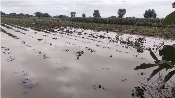 महाराष्ट्र में मूसलाधार बारिश से हाहाकार, सात लोगों की मौत