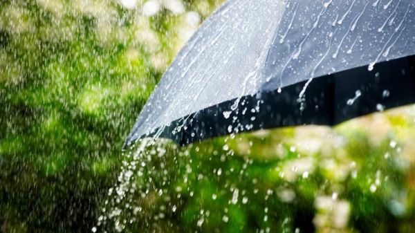  IMD ने कई राज्यों में भारी वर्षा की चेतावनी जारी की