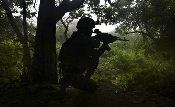 जम्मू-कश्मीर के गुरेज सेक्टर की नियंत्रण रेखा पर घुसपैठ की कोशिश नाकाम, जवानों ने दो आतंकी मार गिराए