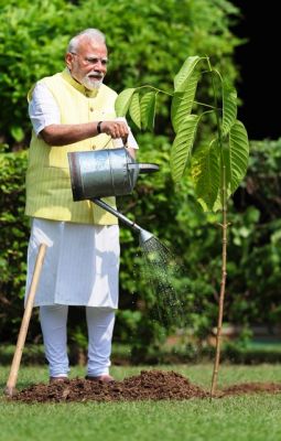 प्रधानमंत्री ने जन्मदिन पर किंग चार्ल्स से उपहार में मिला कदंब का पौधा रोपा
