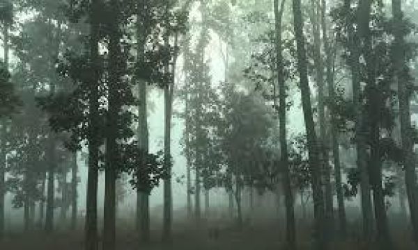 ओडिशा में दारिंगीबाडी 8.5 डिग्री सेल्सियस के साथ सबसे ठंडा, अगले दिनों में हल्की बढ़ोतरी की संभावना