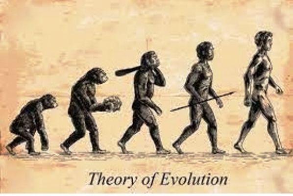  स्कूल पाठ्यक्रम में अभी भी शामिल है डार्विन का विकासवाद का सिद्धांत : प्रधान