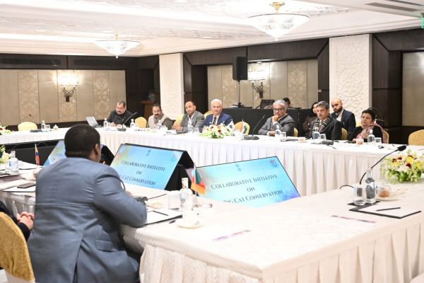 भारत वैश्विक सहयोग से सात बिग कैट्स प्रजातियों के संरक्षण को देगा नई गति