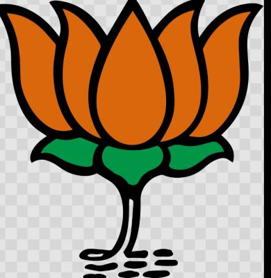  निकाय हो या पंचायत चुनाव, हर जगह हुई भाजपा की जय