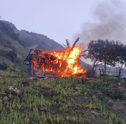 मणिपुर में 53 एकड़ अफीम की खेती नष्ट