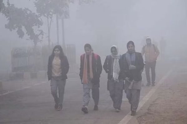 मध्&zwj;य प्रदेश में सर्दी का सितम जारी, 30 से ज्यादा जिलों में छाया घना कोहरा