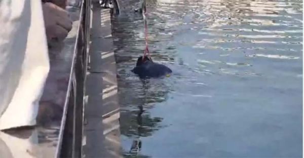 रायपुर के कंकाली तालाब में एक अज्ञात व्&zwj;यक्&zwj;त&zwj;ि की म&zwj;िली लाश, पुल&zwj;िस जांच में जुटी