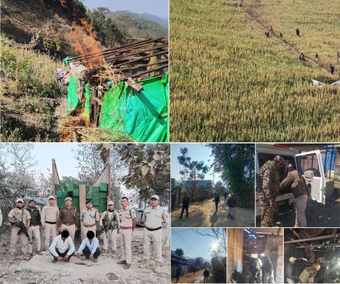 मणिपुर में 20 एकड़ अफीम की खेती नष्ट, अवैध लकड़ी के साथ दो गिरफ्तार