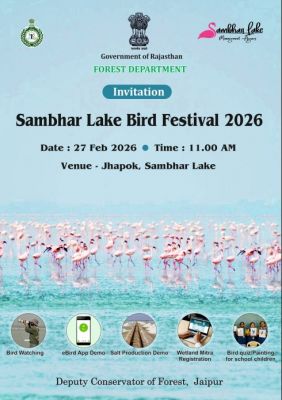 सांभर झील में 27 को बर्ड फेस्टिवल, परिंदों का होगा दीदार