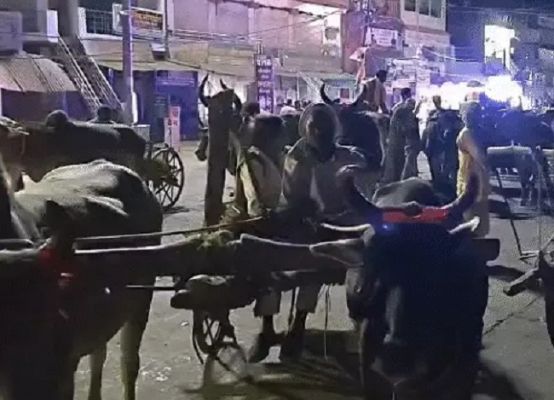 मप्र के पन्ना में बैलगाड़ियों पर निकली बारात, परंपरा और पर्यावरण बचाने का दिया संदेश