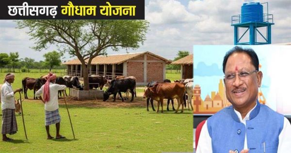 मुख्यमंत्री  साय आज बिलासपुर से करेंगे 'गौधाम योजना' का शुभारंभ