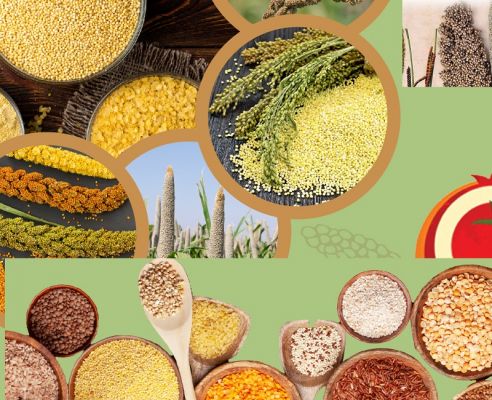 खंडवा में दो दिवसीय मिलेट्स मेला एवं कृषक सम्मेलन आज से