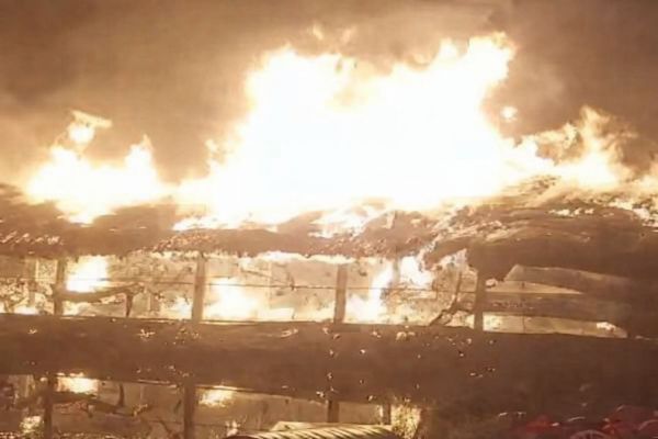 आग लगने से पोल्ट्री फार्म जलकर राख