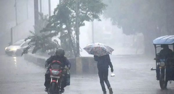 मध्य प्रदेश में फिर बदलेगा मौसम, अगले 24 घंटों में 7 जिलों में आंधी-बारिश का अलर्ट, 3 दिन तक रहेगा असर