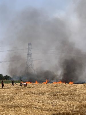 औरैया में भीषण अग्निकांड: 10 बीघा पराली जलकर राख, किसानों को भारी नुकसान