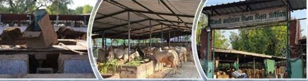 गुजरात संस्थान ने अपशिष्ट से बनाई ऊर्जा आत्मनिर्भरता, बायोगैस संयंत्र से एलपीजी का इस्तेमाल हुआ खत्म