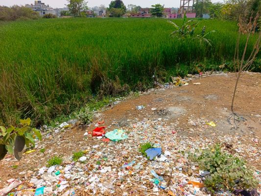 निगम क्षेत्र में घरों से दो-दो दिन बाद उठ रहा कचरा, वार्डों में फैलने लगी गंदगी