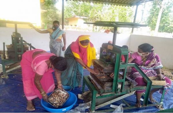 न्यूजीलैंड का प्रतिनिधिमंडल आज करेगा बैतूल के नंदा वन धन विकास केंद्र हनी कलेक्शन सेंटर का दौरा
