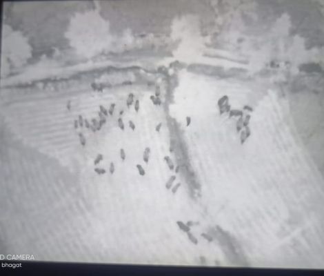 रायगढ़ जिले में दिखा हाथियों का बड़ा दल, ड्रोन कैमरे में कैद, वन विभाग अलर्ट