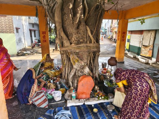 सुहाग की सलामती के लिए महिलाओं ने किया वट वृक्ष पूजन