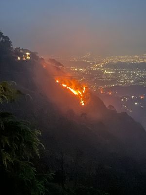 हिमाचल प्रदेश के जंगल धधके, 43 दिनों में 258 आग की घटनाएं, हजारों हेक्टेयर वन भूमि राख
