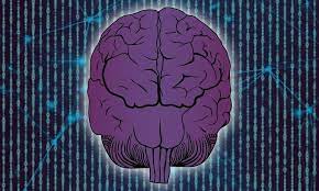 How breathing shapes our brain