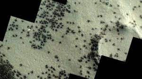 मंगल ग्रह पर मकड़‍ियों का झुंड! ESA की इस तस्‍वीर का क्‍या है सच? जानें