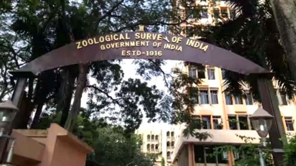 लोबोथोरैक्स भारत: भारतीय वैज्ञानिकों द्वारा बंगाल की खाड़ी में खोजी गई नई परजीवी प्रजाति