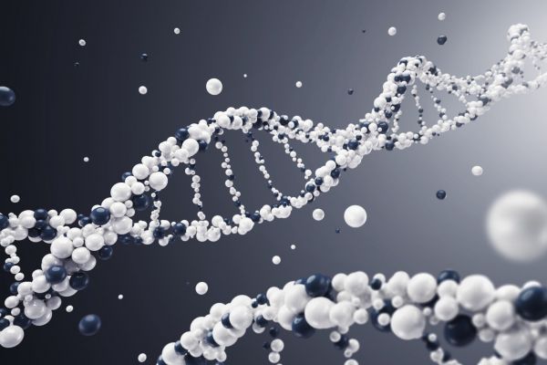 अध्ययन से पता चलता है कि मानव जीवनकाल को निर्धारित करने में आनुवंशिकी की भूमिका अधिक महत्वपूर्ण है।