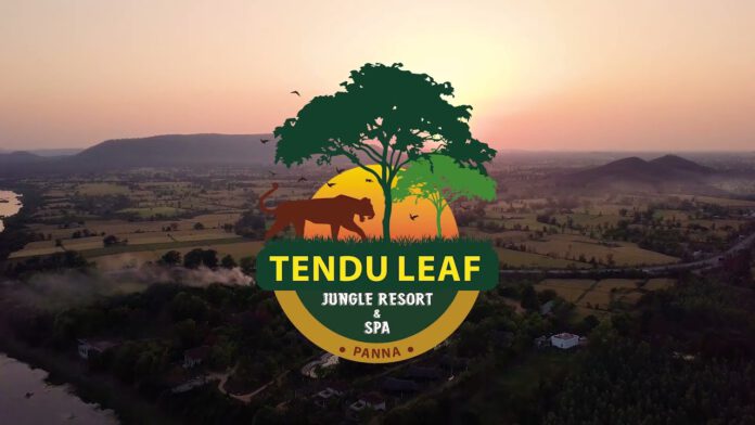 जंगल के बीच एक परफेक्ट हॉलिडे