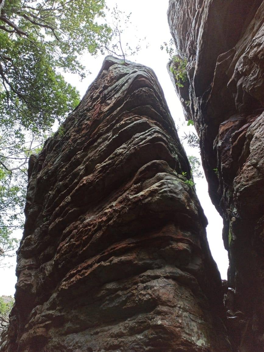 घने जंगलों की खूबसूरत वादियों में बसा बस्तर का मिचनार पहाड़ी
