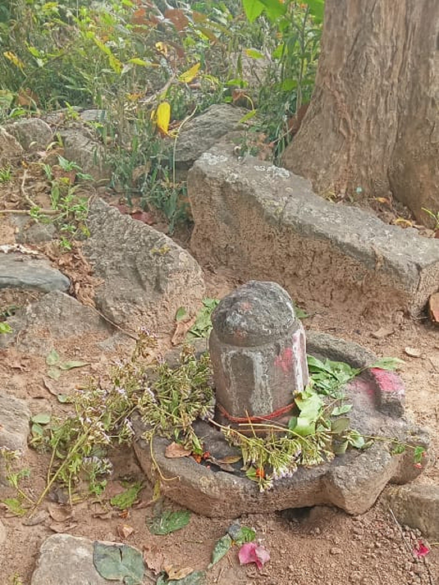 सदियों से उपेक्षित हैं 'सिडींग महादेव'