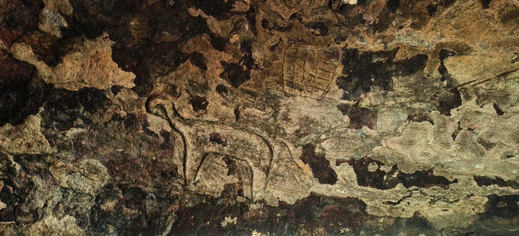 कोरबा के जंगल में मेसोलिथिक काल-ताम्रपाषाण युग  की एक प्राचीन गुफा की खोज