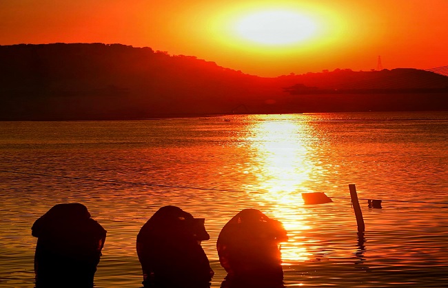 उगते सूर्य को अर्घ्य देने के साथ  छठ महापर्व का समापन 