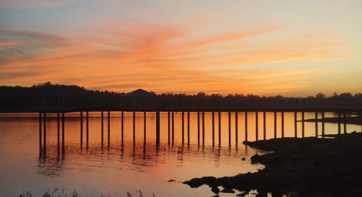 पर्यटकों का आकर्षण केंद्र बना:  गगनई जलाशय ! 