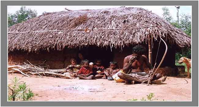 जनजातीय हितों व श्रद्धा पर केंद्रित हो नई वननीति