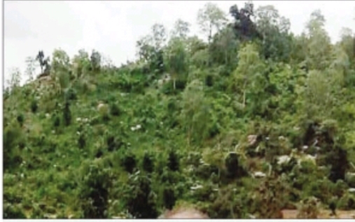 बलरामपुर : अनेक रहस्यों को अपने अंदर समेटे हुए पहाड़ की गोद में सोया है साधु मीना गुफा