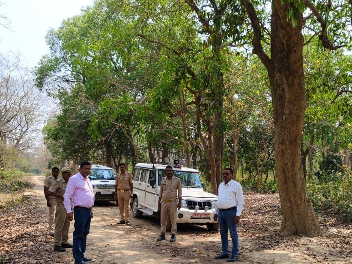  हरियाली की चादर में ढका छत्तीसगढ़ का बलरामपुर वनक्षेत्र