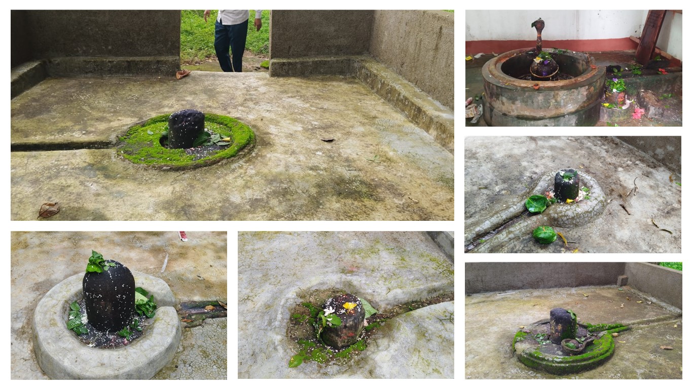 द्वादश ज्योतिर्लिंग के प्रतीक हैं खूंटी के बम्हणी गांव में खुले आकाश के नीचे विराजमान 12 शिवलिंग