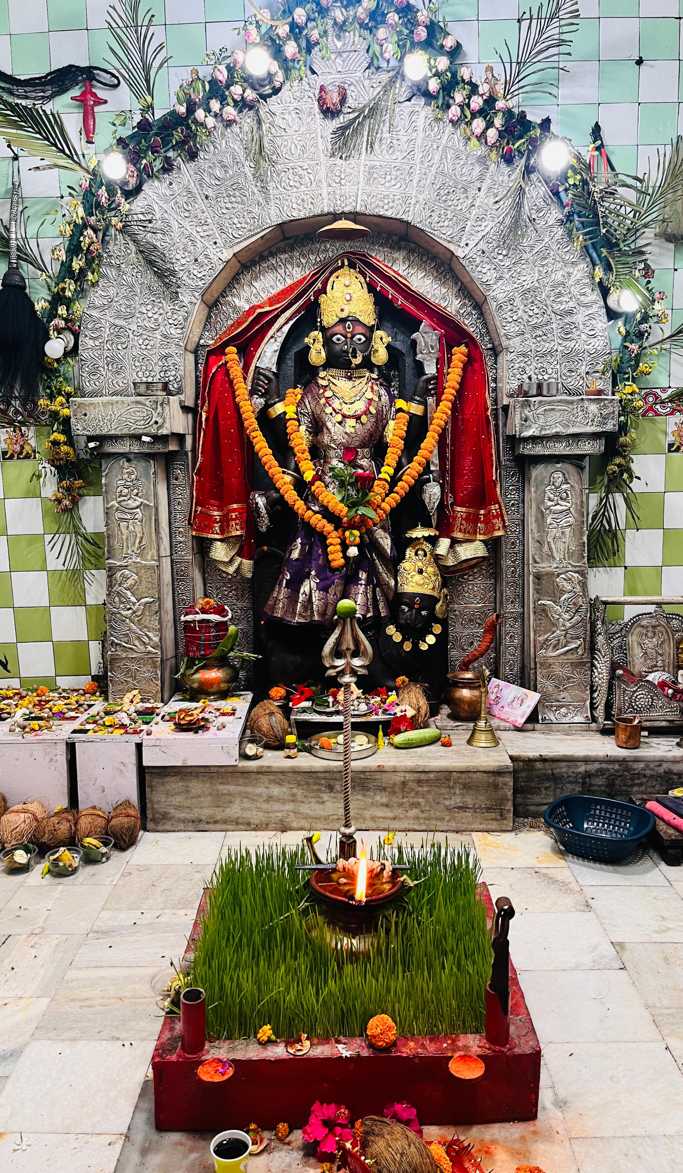 नवरात्रि में मां समलेश्वरी के दरबार में उमड़ी आस्था, तिथि अनुसार विशेष भोग