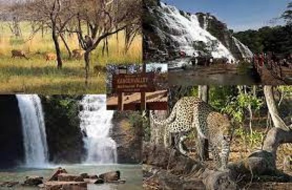 प्राकृतिक सुंदरता व अनोखी समृद्ध जैव विविधता के कारण प्रसिद्ध है छत्तीसगढ़ का कांगेर घाटी राष्ट्रीय उद्यान