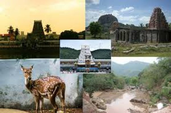 दक्षिण भारत के प्रमुख पर्यटन आकर्षणों में से एक -चेन्नई