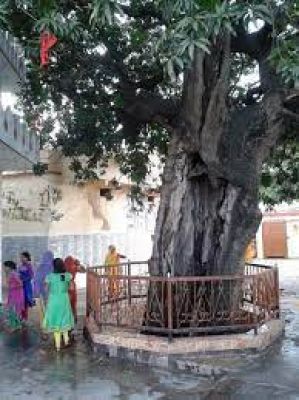कारो में भगवान शिव ने कामदेव को जलाकर किया था भस्म