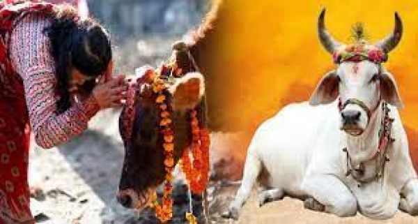 गोमाता के आशीर्वाद से उत्पन्न हुए रघु और रघुकुल