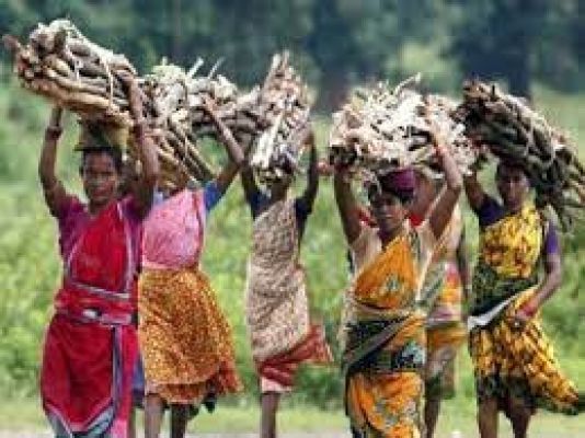 कोटवालिया आदिवासी: स्त्री-पुरुष समानता का अनूठा उदाहरण