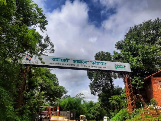 राधानगरी वन्यजीव अभयारण्य