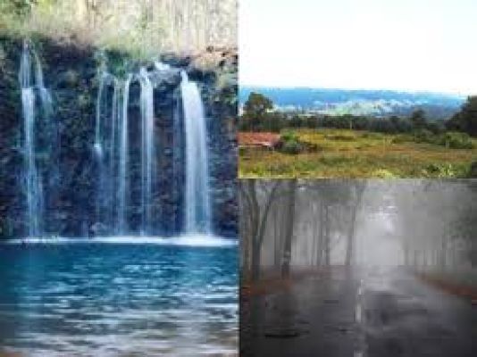 जंगलों से घिरा एक रमणीय पर्यटन स्थल- मैनपाट